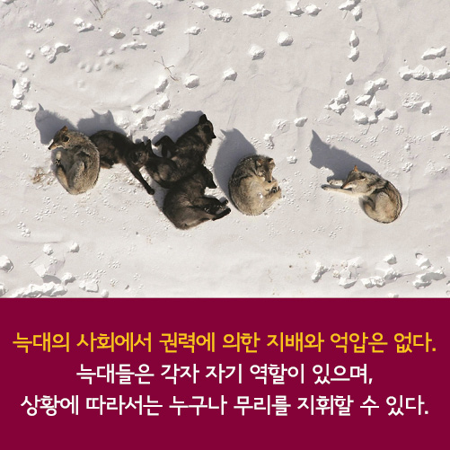 카드뉴스11