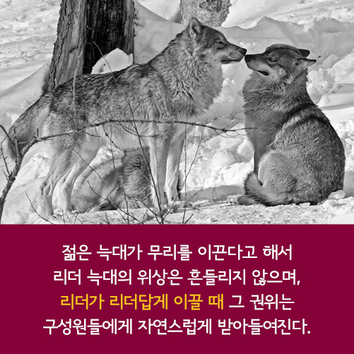 카드뉴스12