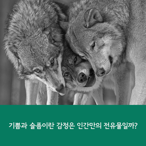 카드뉴스13