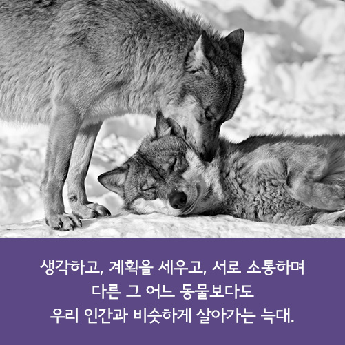 카드뉴스16