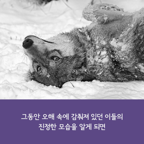 카드뉴스17