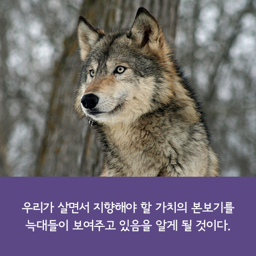 카드뉴스18
