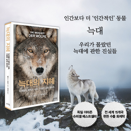 카드뉴스19