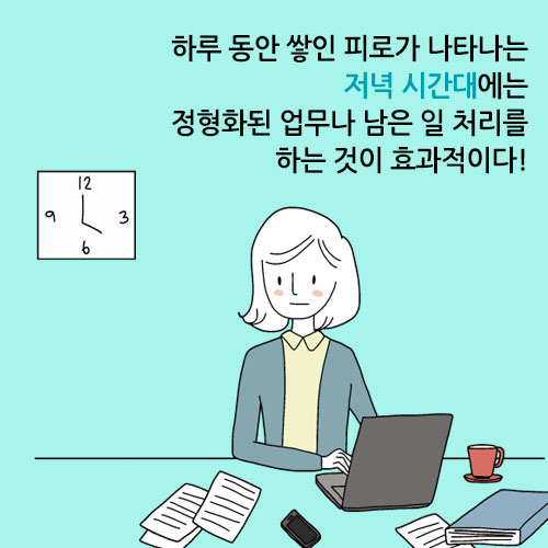 카드뉴스6