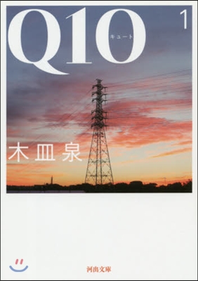 Q10(キュ-ト) (1)