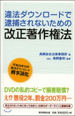 違法ダウンロ-ドで逮捕されないための改正