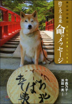 捨て犬.未來命のメッセ-ジ 東日本大震災.犬たちが避難した學校