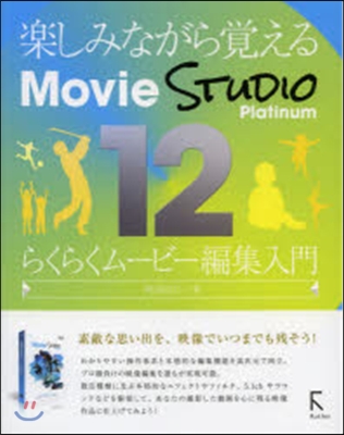 MovieStudioPlatinu12