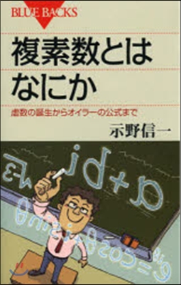 複素數とはなにか 虛數の誕生からオイラ-