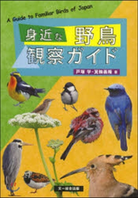 身近な野鳥觀察ガイド