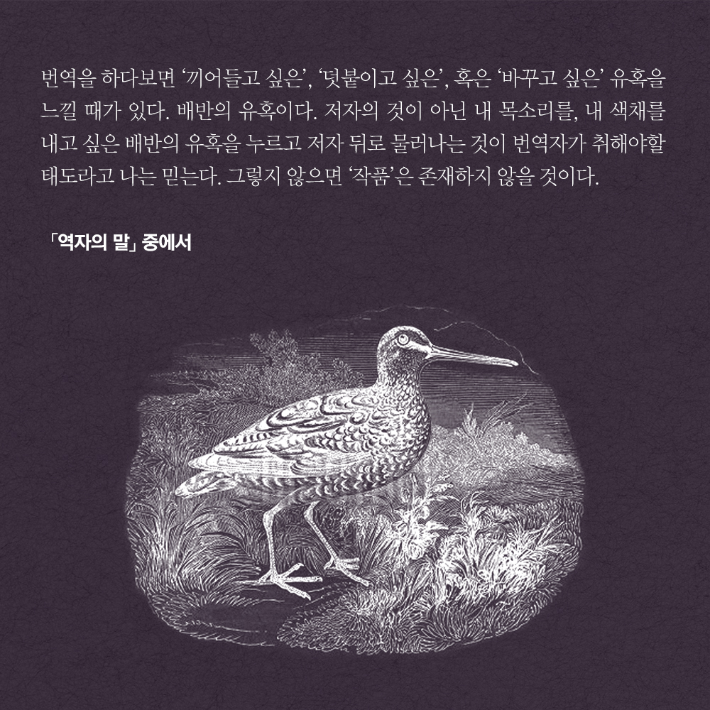 카드뉴스5