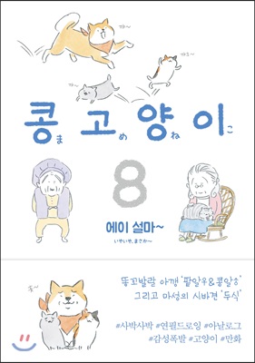 콩고양이 8