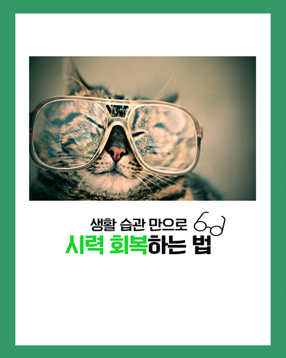 카드뉴스1