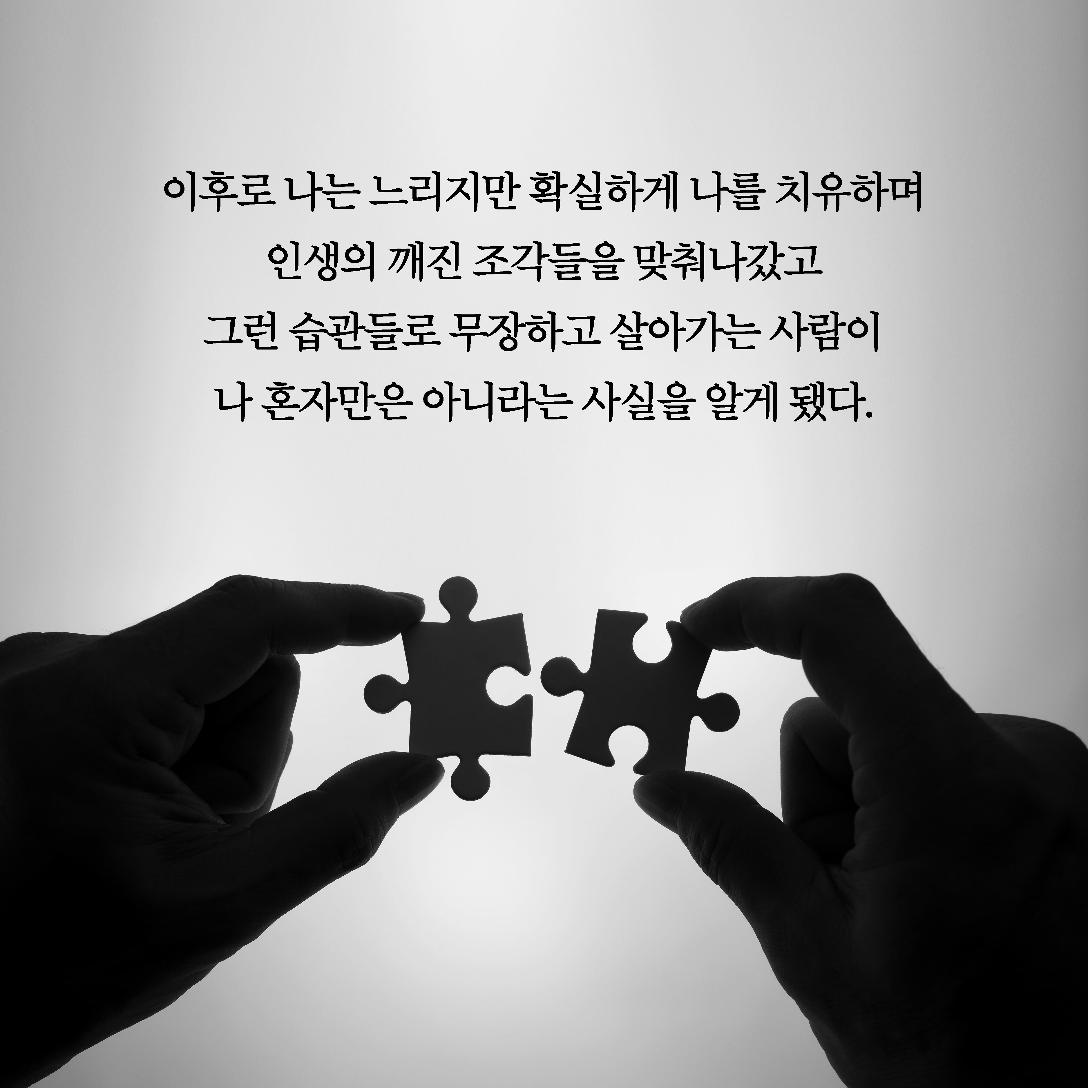 카드뉴스11