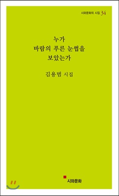 누가 바람의 푸른 눈썹을 보았는가