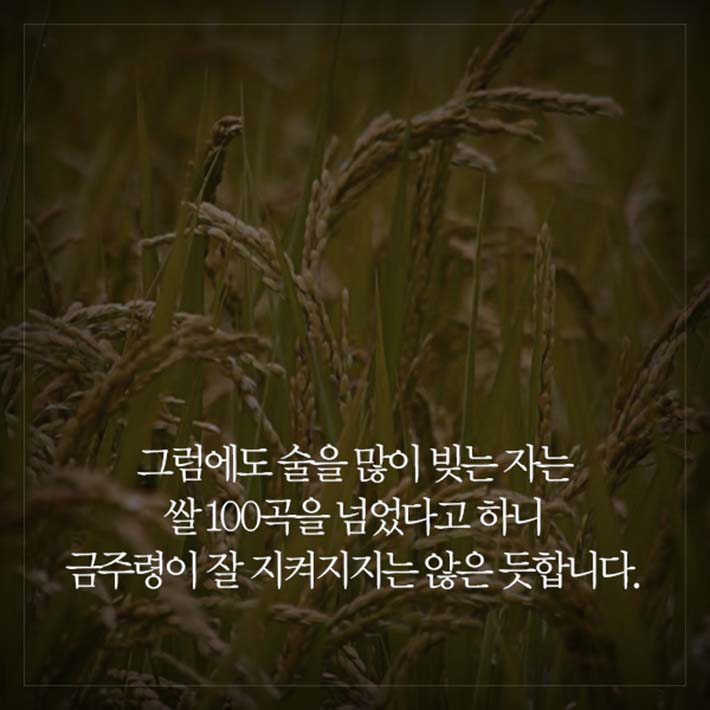 카드뉴스4