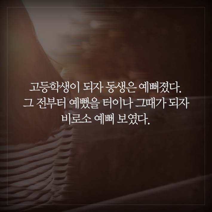 카드뉴스1