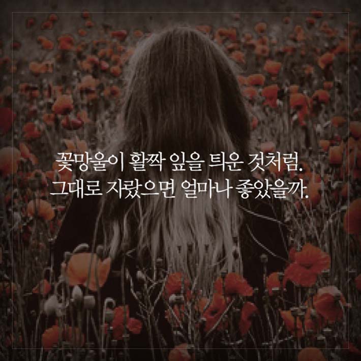 카드뉴스2