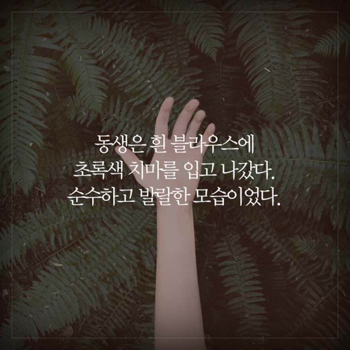 카드뉴스4