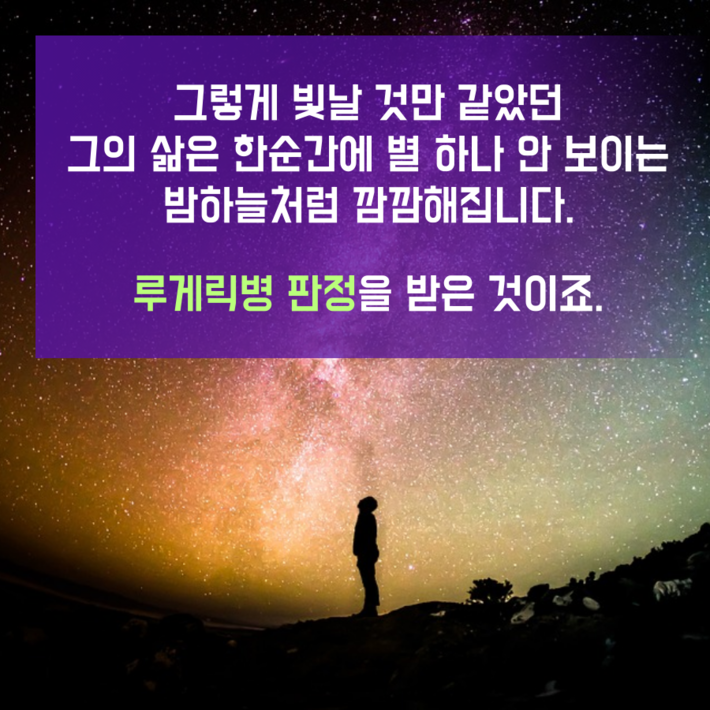 카드뉴스6