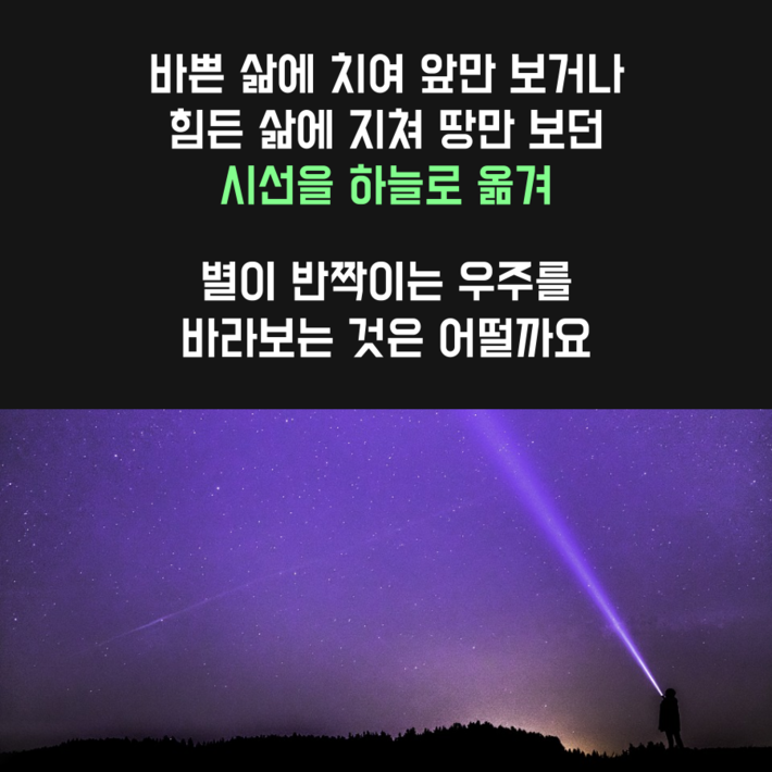 카드뉴스12
