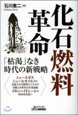 化石燃料革命 「枯渴」なき時代の新戰略