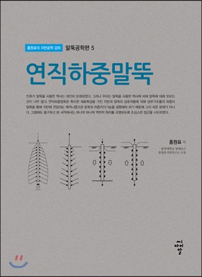 말뚝공학편 5 : 연직하중말뚝