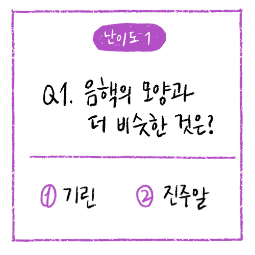 카드뉴스3