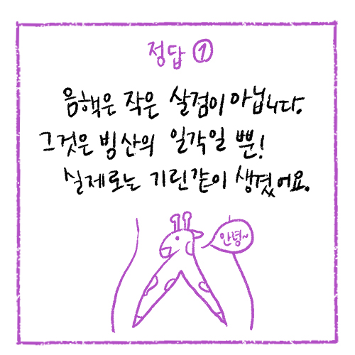 카드뉴스4