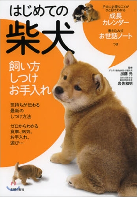 はじめての柴犬 飼い方しつけお手入れ