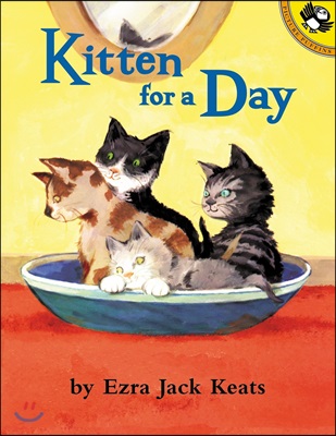 Kitten for a Day (Paperback)