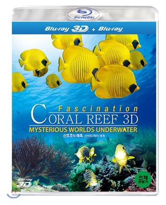 산호초의 매혹 - 신비의 해저 세계 3D : 블루레이 