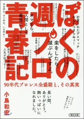 ぼくの週プロ靑春記 