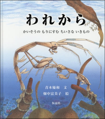 われから かいそうのもりにすむちいさない