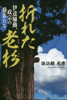 折れた老杉 伊達騷動,政宗の裔族たち