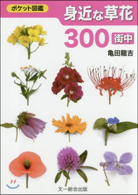 身近な草花300 街中