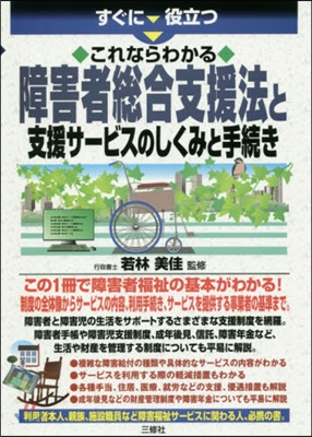 障害者總合支援法と支援サ-ビスのしくみと