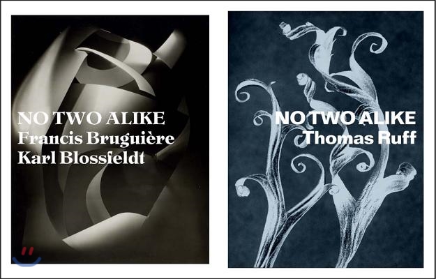 No Two Alike: Karl Blossfeldt, Francis Brugui?re, Thomas Ruff