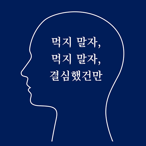 카드뉴스