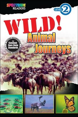 Wild! Animal Journeys