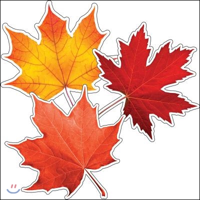 Woodland Whimsy Fall Leaves Cut-outs