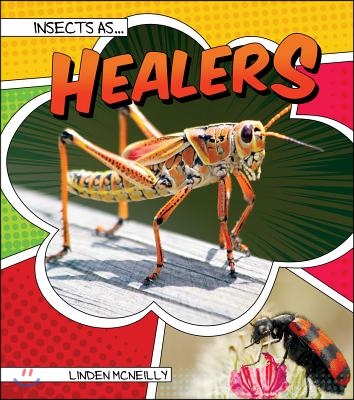 Insects as Healers