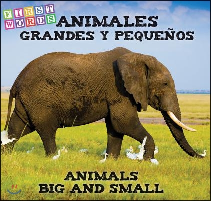 Animales grandes y peque?os / Animals Big and Little