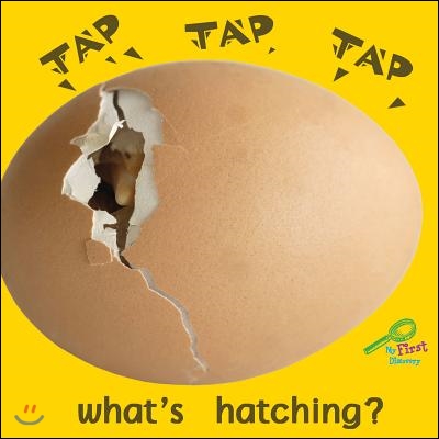 Tap, Tap, Tap, What's Hatching?