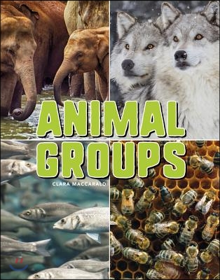 Animal Groups