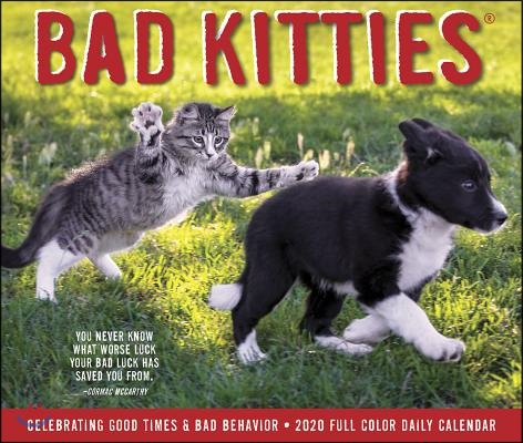 Bad Kitties 2020 Box Calendar