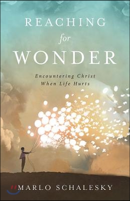 Reaching for Wonder: Encountering Christ When Life Hurts