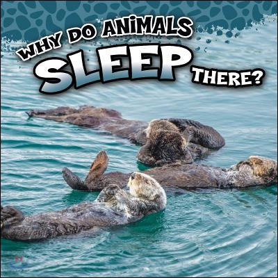 Why Do Animals Sleep There?