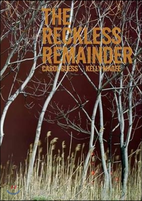 The Reckless Remainder