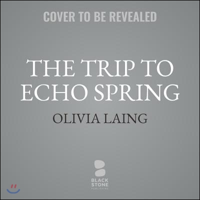 The Trip to Echo Spring: On Writers and Drinking
